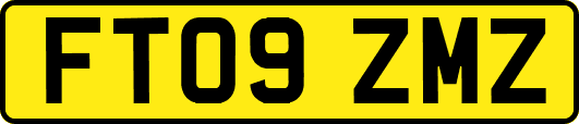 FT09ZMZ