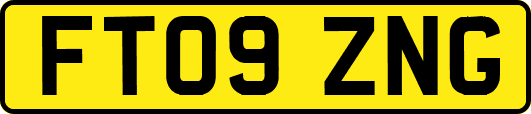 FT09ZNG