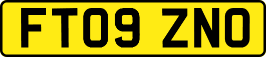 FT09ZNO