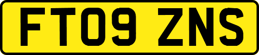 FT09ZNS