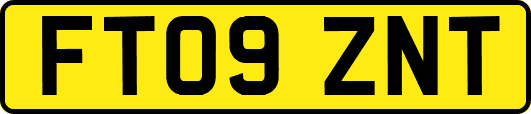 FT09ZNT