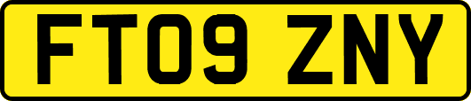 FT09ZNY