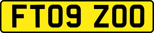 FT09ZOO