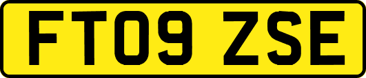 FT09ZSE