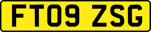 FT09ZSG