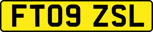 FT09ZSL