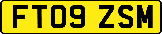FT09ZSM