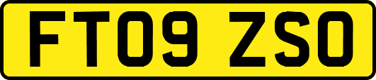 FT09ZSO