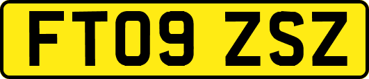 FT09ZSZ