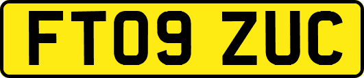 FT09ZUC