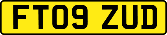 FT09ZUD