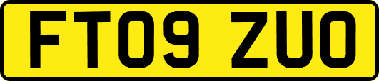 FT09ZUO