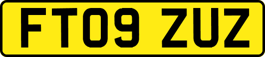 FT09ZUZ