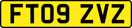 FT09ZVZ
