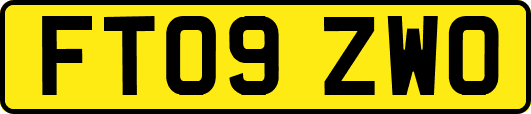 FT09ZWO