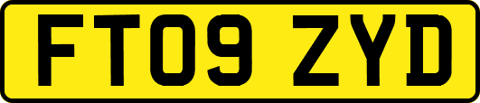 FT09ZYD
