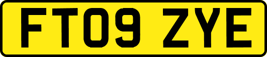 FT09ZYE
