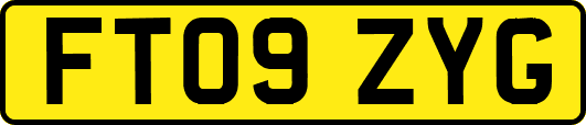 FT09ZYG