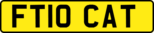 FT10CAT