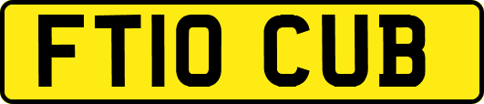 FT10CUB