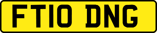 FT10DNG