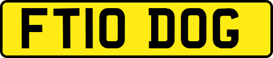 FT10DOG