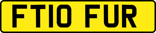 FT10FUR