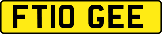FT10GEE