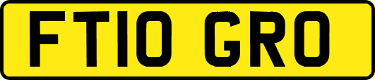 FT10GRO