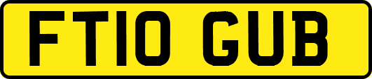 FT10GUB