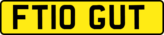 FT10GUT