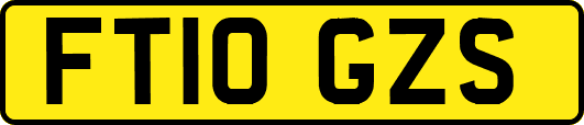 FT10GZS
