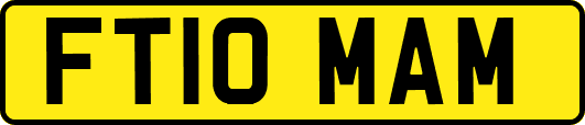 FT10MAM