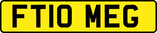 FT10MEG