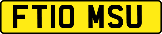 FT10MSU