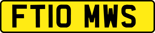 FT10MWS