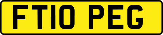 FT10PEG