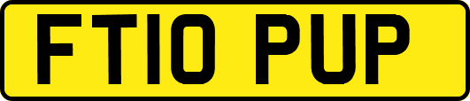 FT10PUP