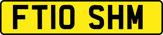 FT10SHM