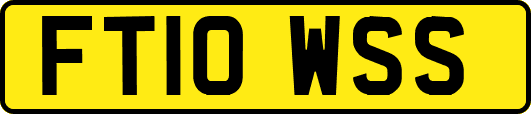 FT10WSS