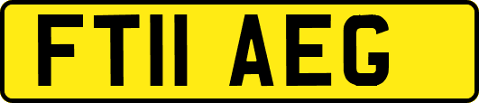 FT11AEG