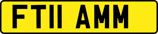 FT11AMM