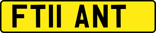 FT11ANT