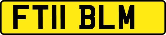 FT11BLM