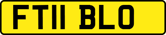 FT11BLO
