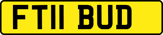 FT11BUD