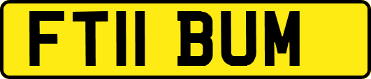 FT11BUM