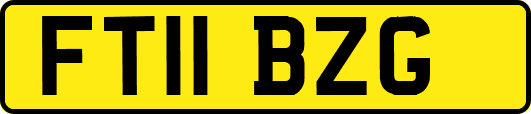 FT11BZG