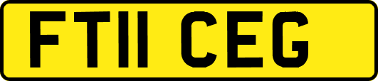FT11CEG