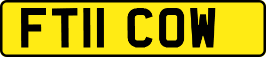 FT11COW